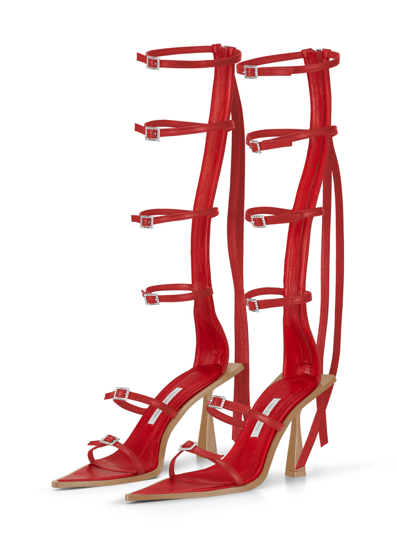 Wild Stripes Cherry